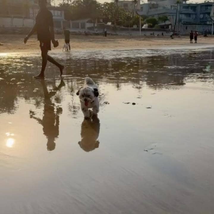 unggahan Soha Ali Khan