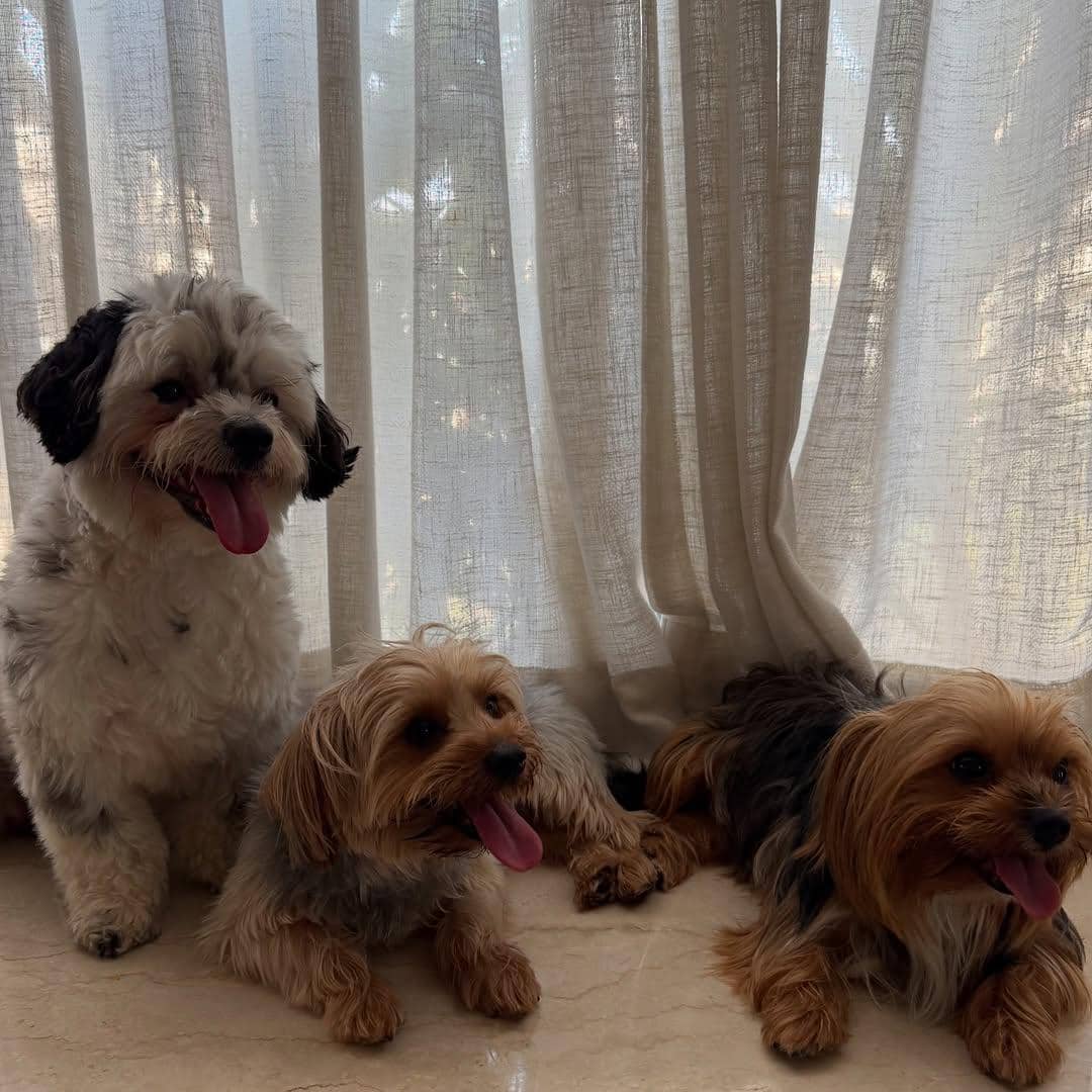 unggahan Soha Ali Khan