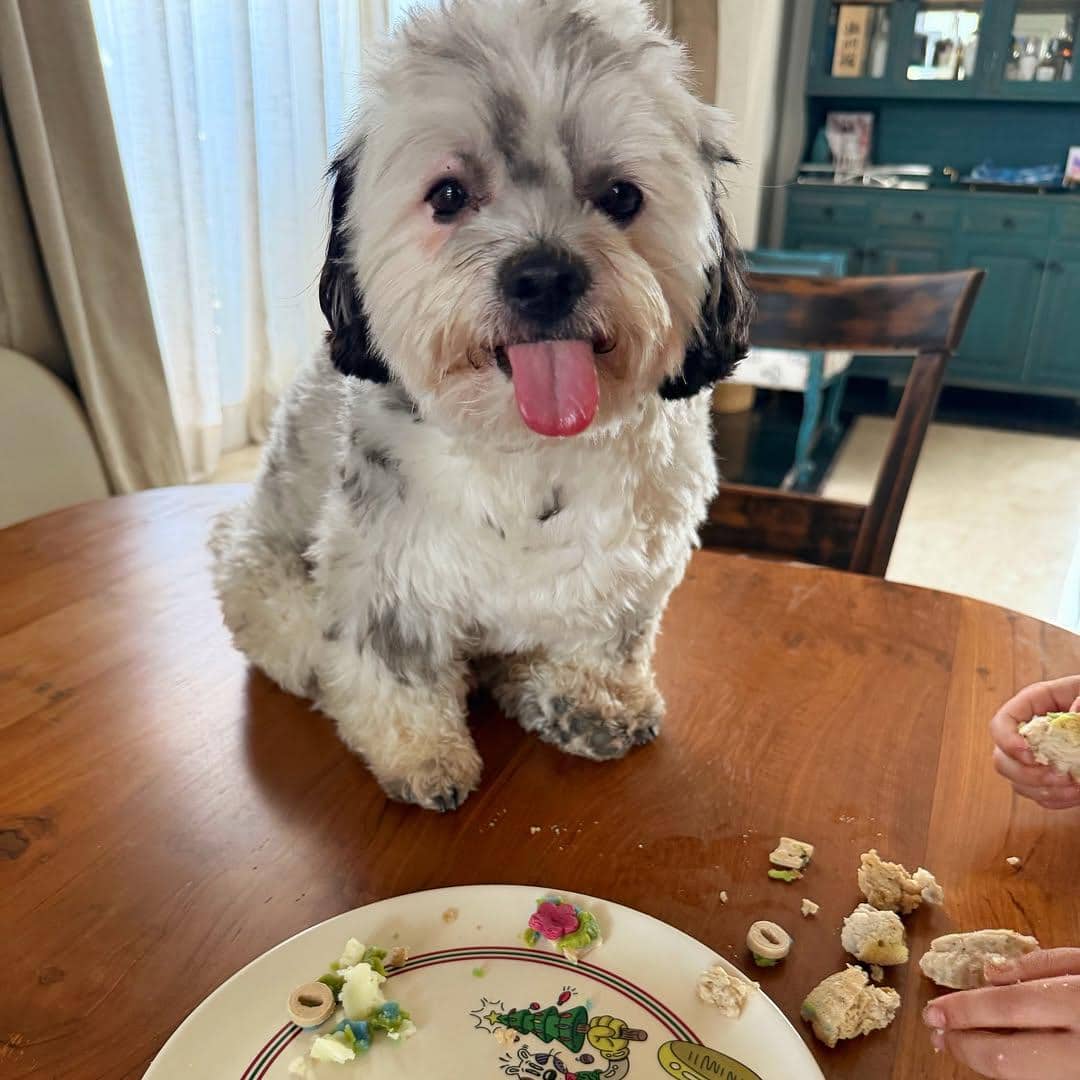 unggahan Soha Ali Khan