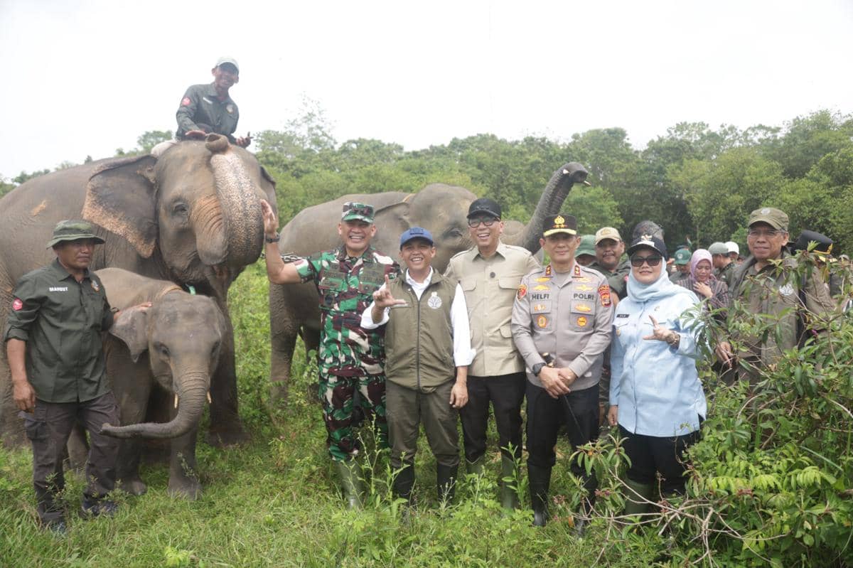 Pagar Pembatas 138Km Way Kambas Jadi Solusi Konflik Gajah-Manusia