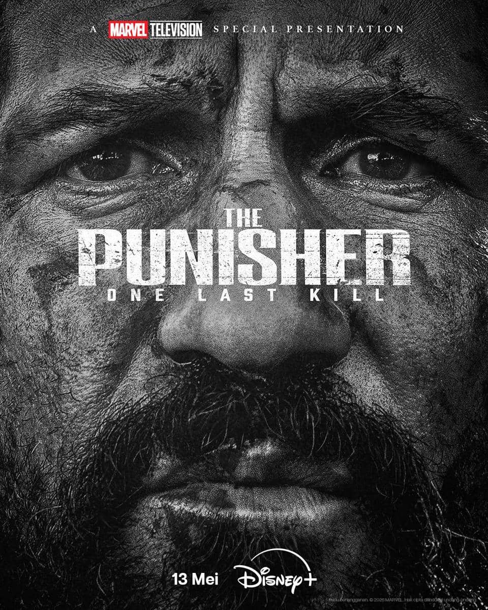 The Punisher: One Last Kill