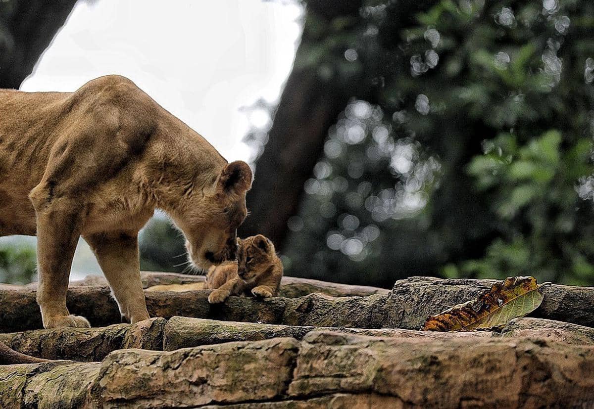 WhatsApp Image 2026-03-26 at 2.35.32 PM.jpeg