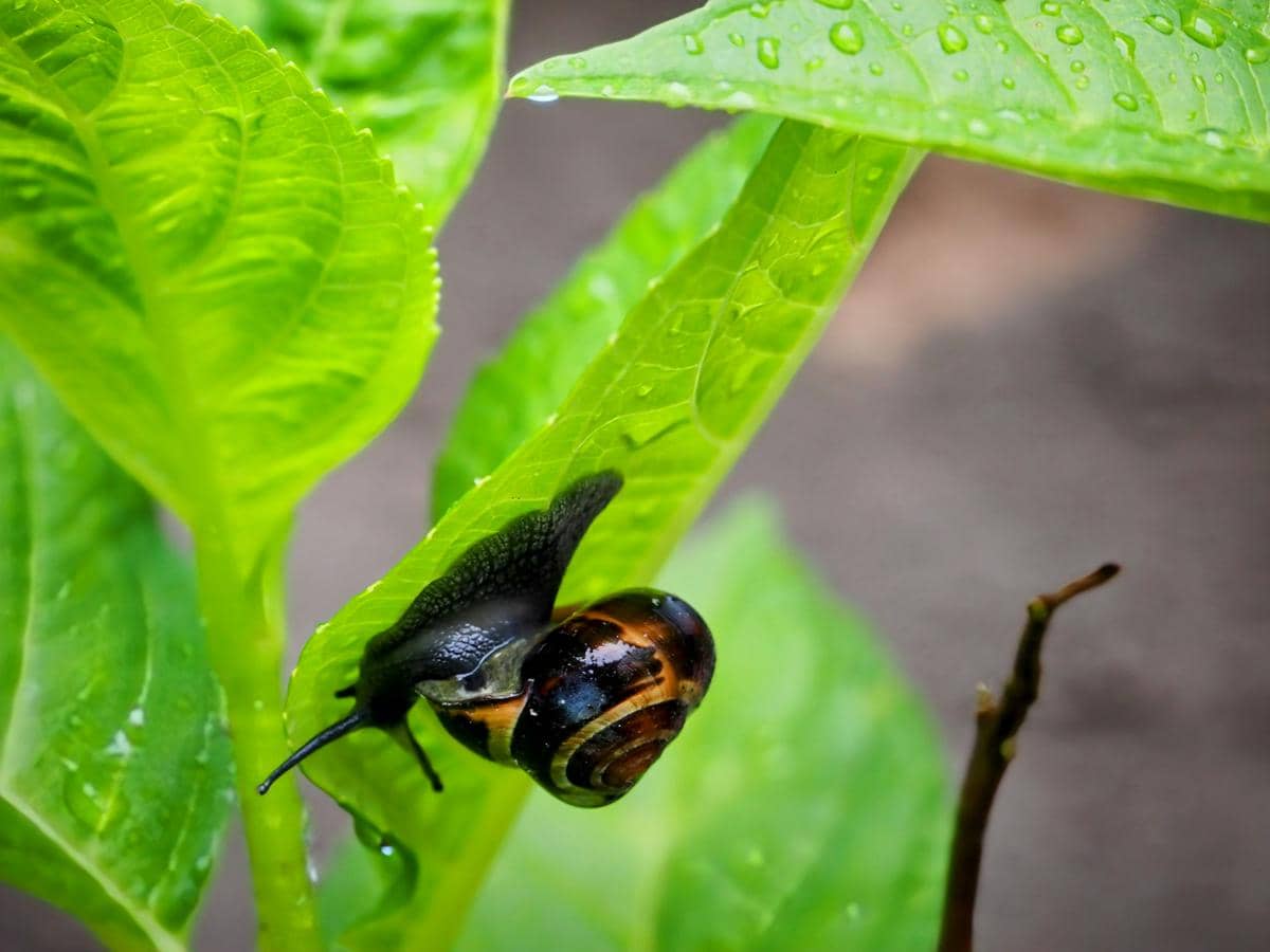 [PUISI] Antara Cukup dan Serakah