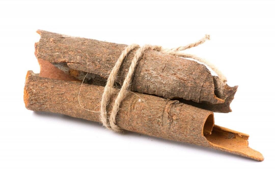 ilustrasi sandalwood