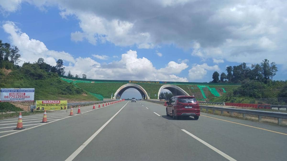 Jembatan perlintasan khusus satwa liar di wilayah Ibukota Nusantara (IKN), Sabtu (28/3/2026). 