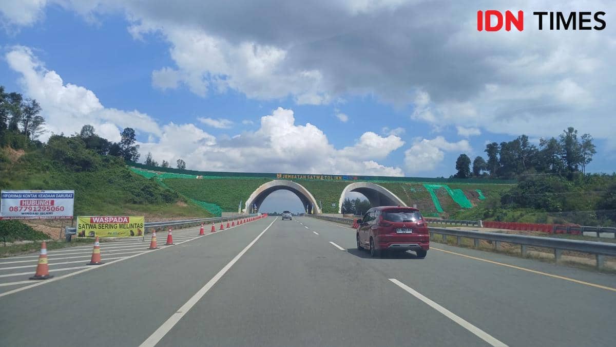 Jembatan perlintasan khusus satwa liar di wilayah Ibukota Nusantara (IKN), Sabtu (28/3/2026). 