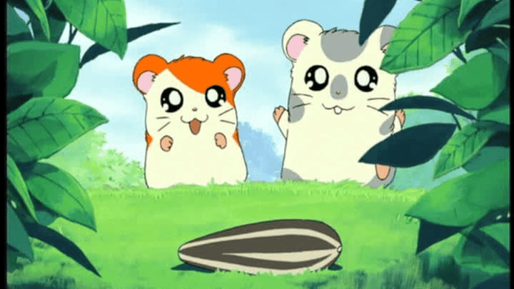 opening anime Indonesia terbaik