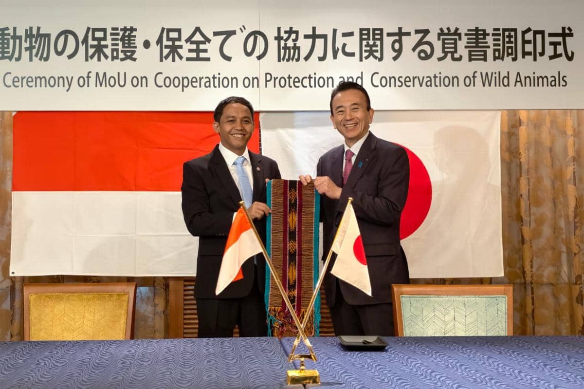 Menhut Gandeng Shizuoka Jepang untuk Konservasi Komodo