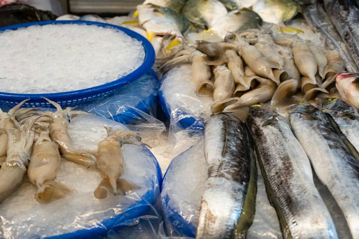 Hasil tangkapan ikan dan cumi cumi segar