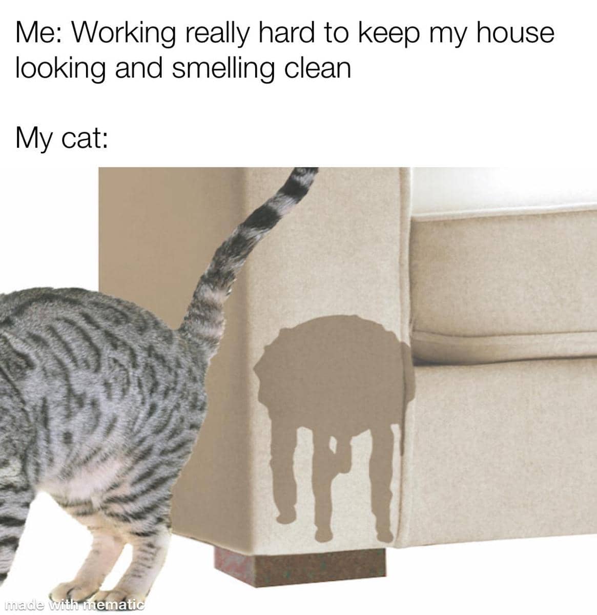 meme kucing tentang stres