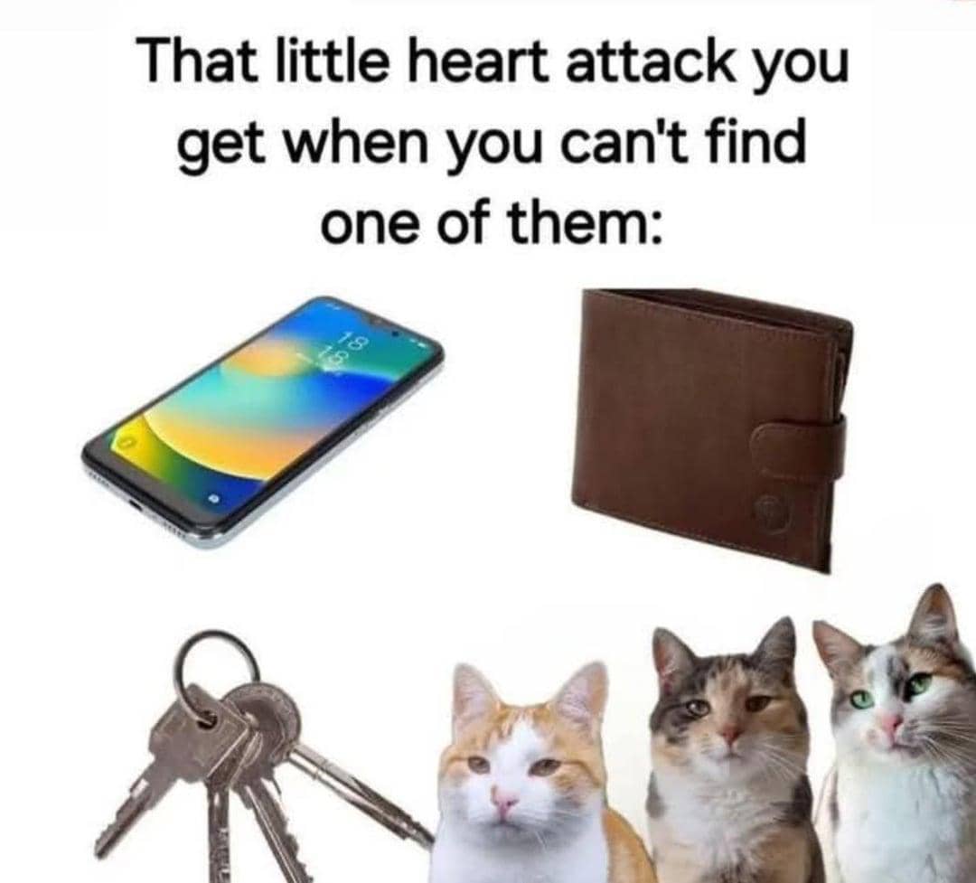 meme kucing tentang stres