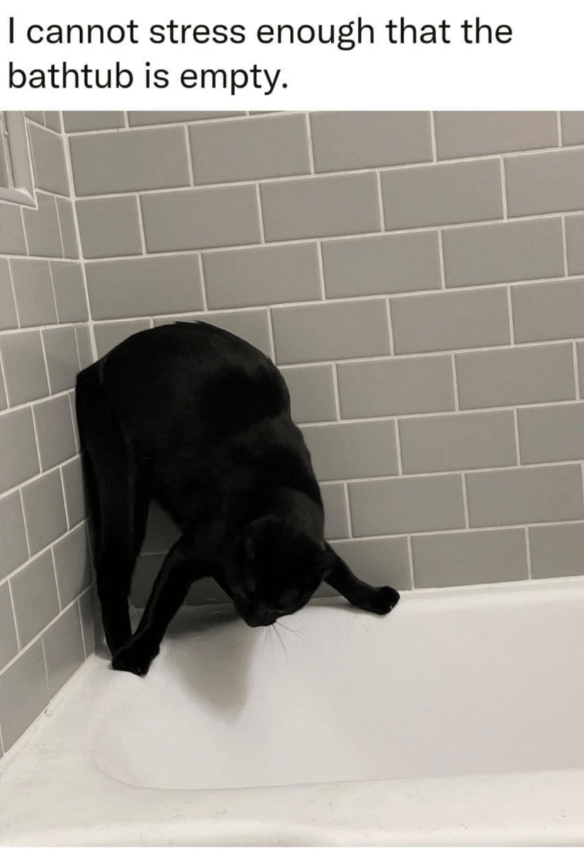 meme kucing tentang stres