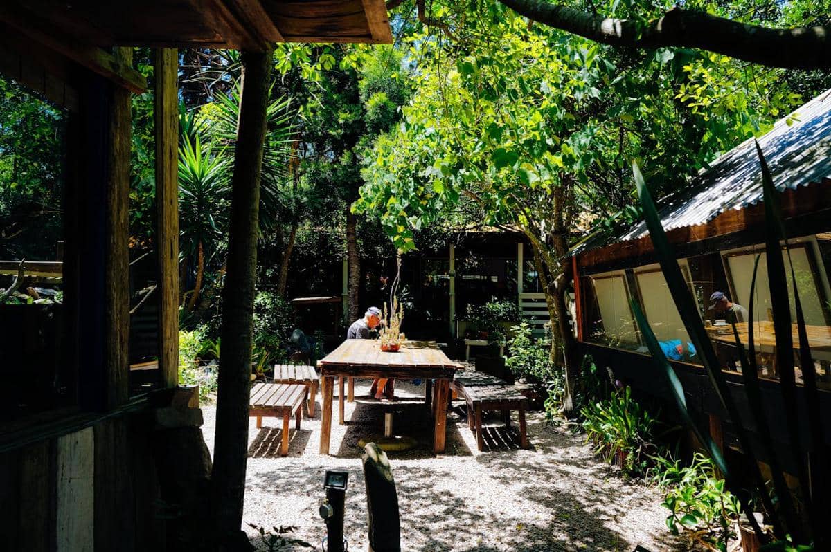 Ilustrasi kafe dengan suasana alam