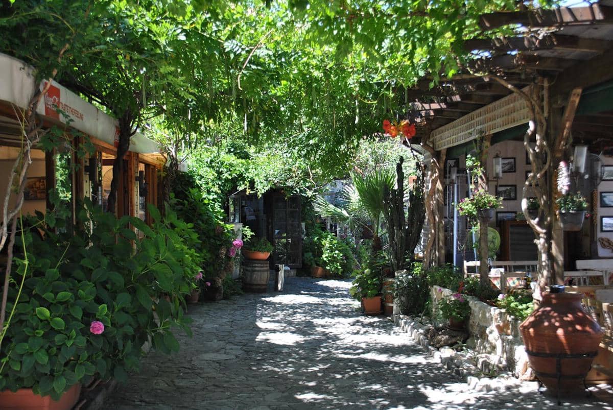 Ilustrasi kafe dengan suasana alam