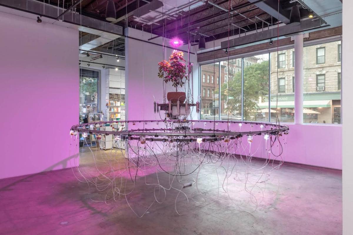 WhatsApp Image 2026-03-28 at 16.58.18.jpeg