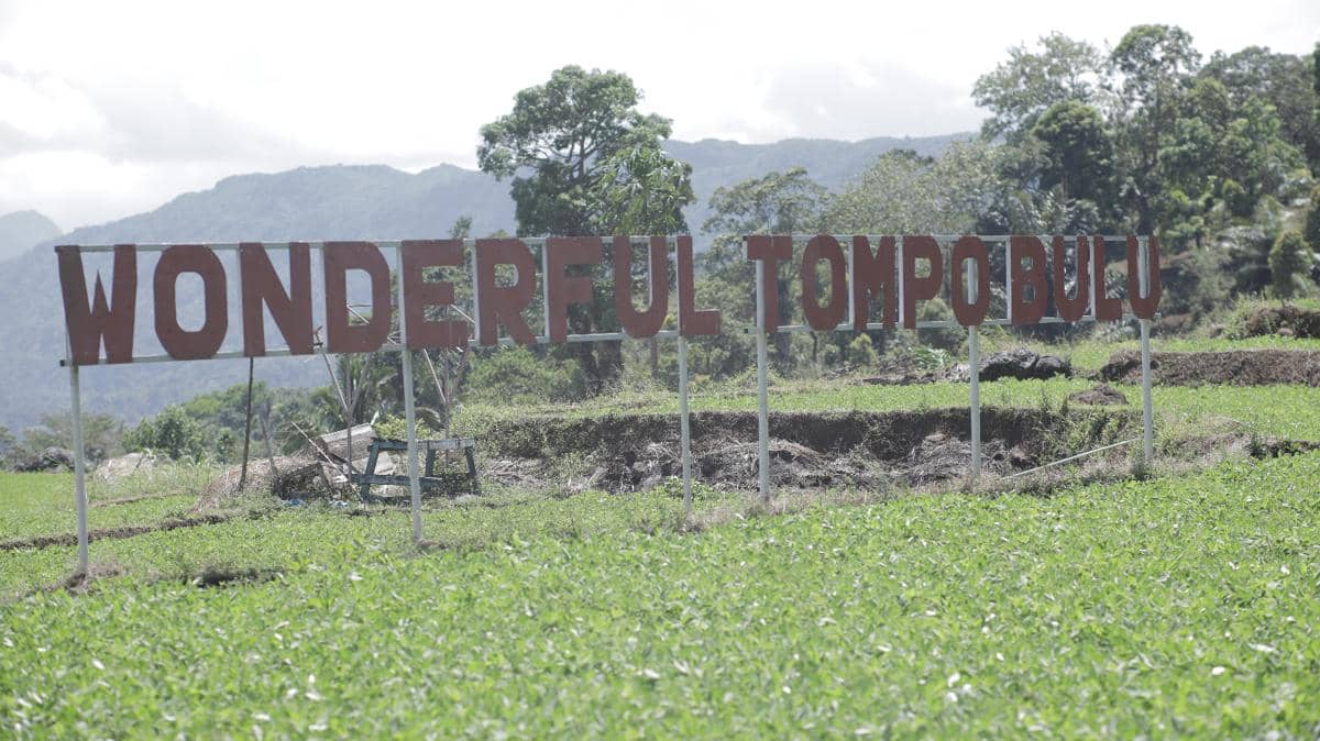 BRI Dorong Transformasi Desa Tompobulu Lewat Program Desa BRILiaN