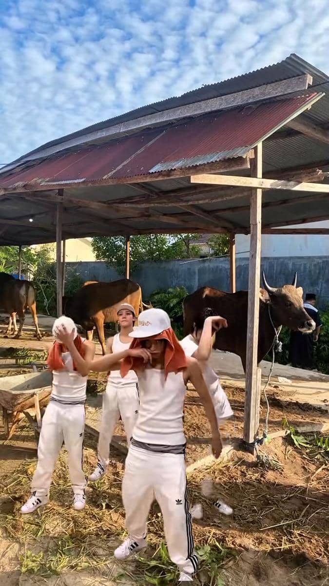 LNGSHOT di depan kandang sapi