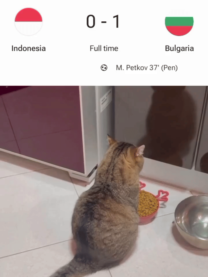 meme Timnas Indonesia kalah lawan Bulgaria