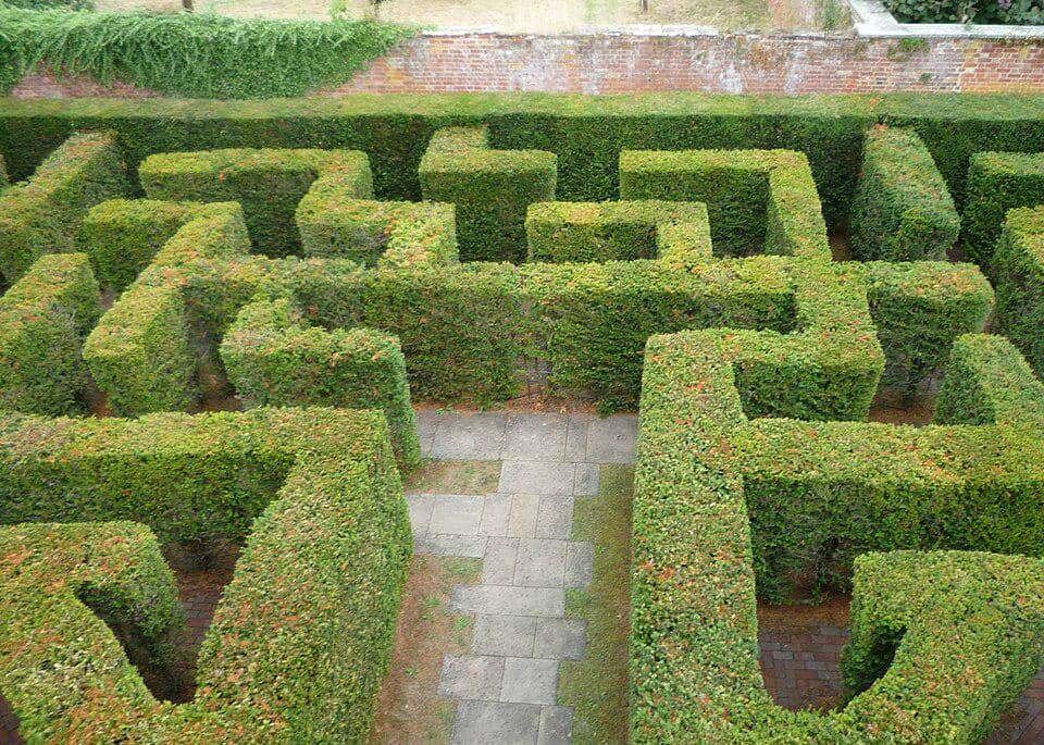 Labirin di Istana Hampton Court 