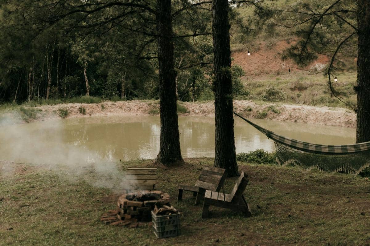 Ilustrasi area santai di hutan pinus dengan hammock dan spot duduk estetik di tengah alam.