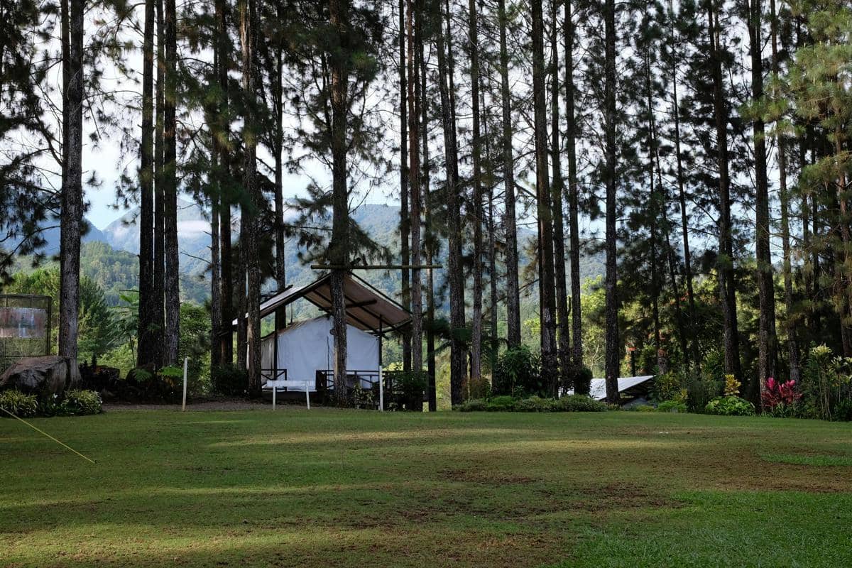 5 Wisata Alam Mojokerto untuk Healing Akhir Pekan