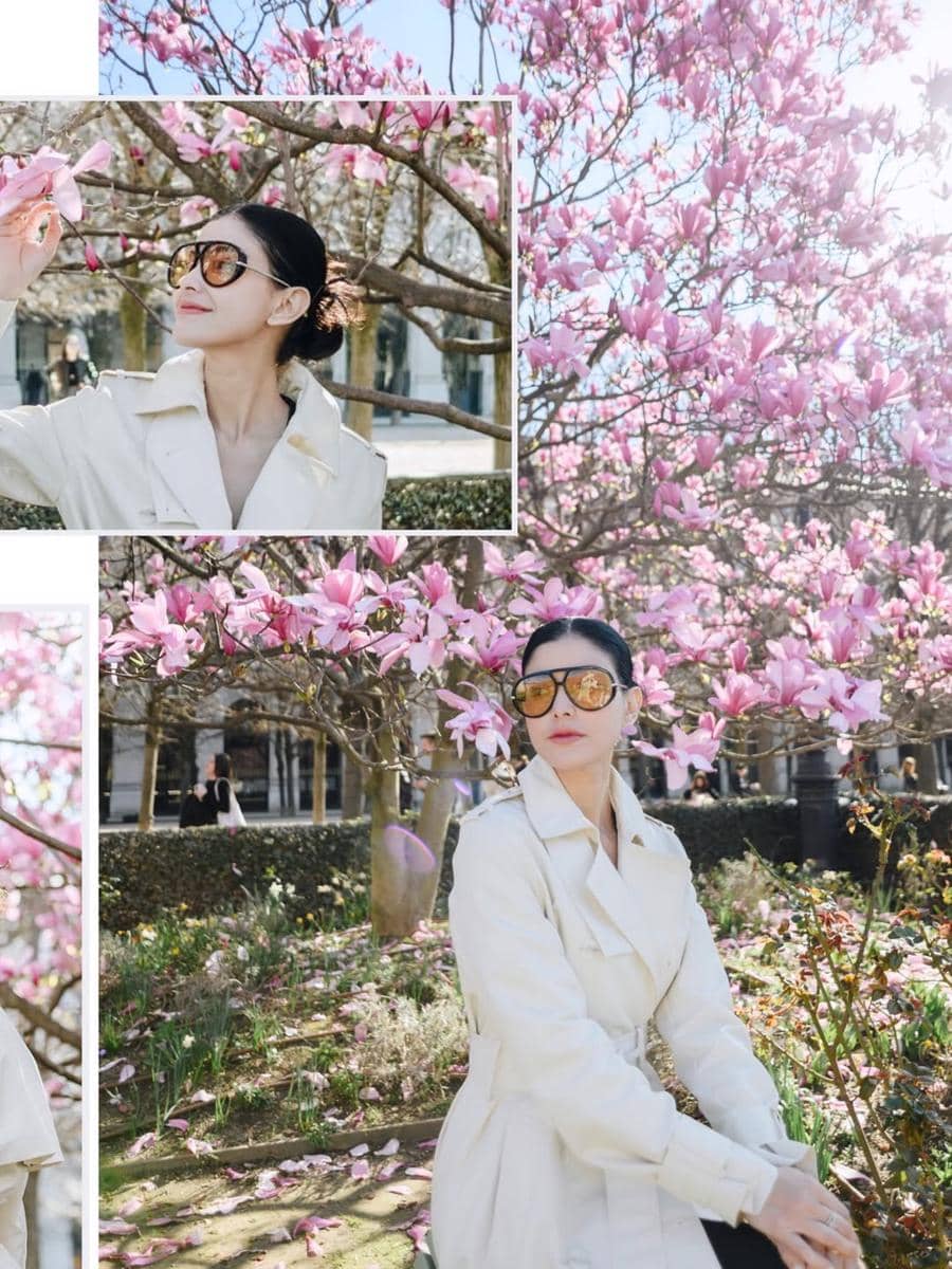 Medina jalan-jalan di Paris saat bunga sakura mekar