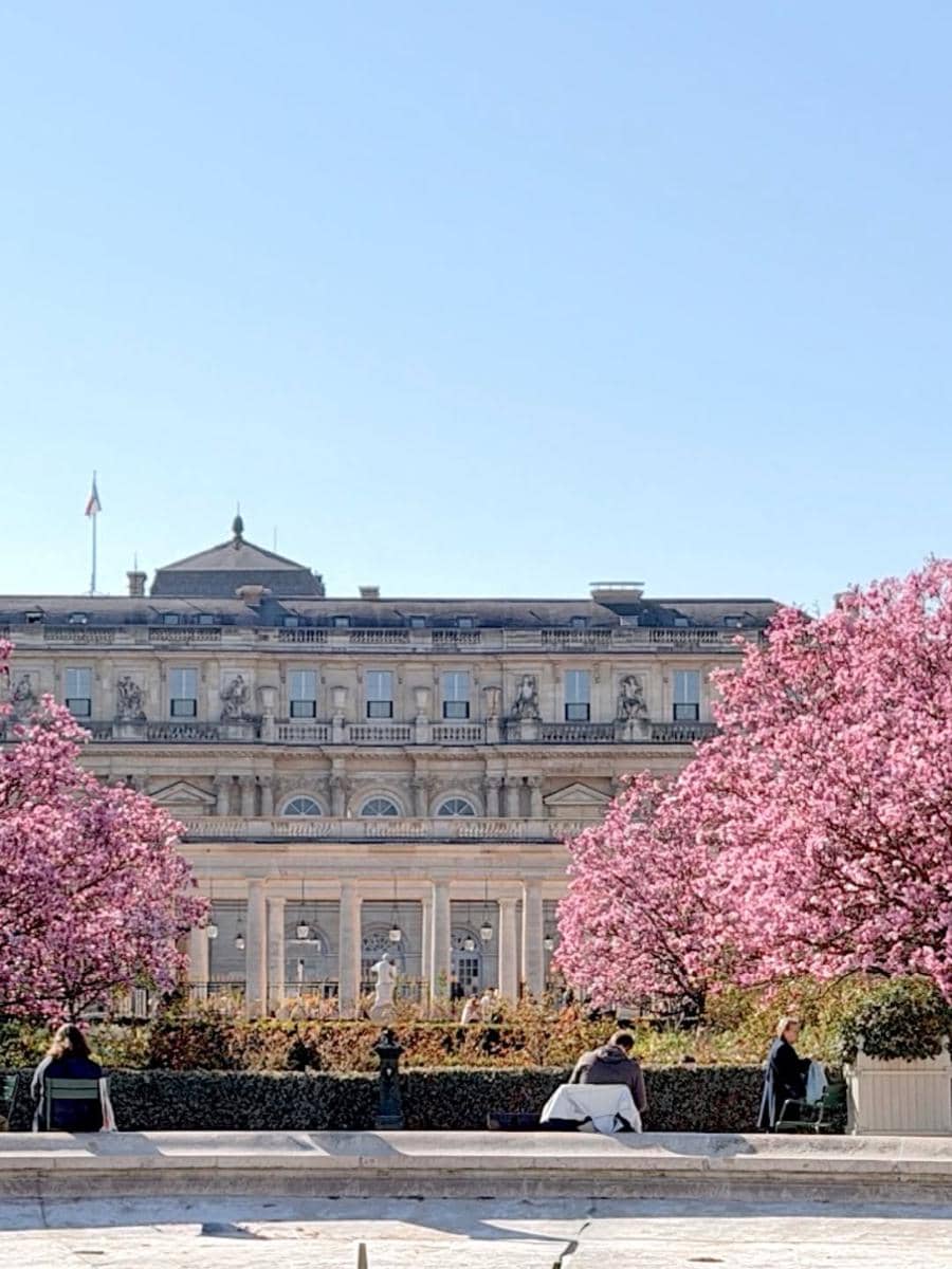 Medina jalan-jalan di Paris saat bunga sakura mekar
