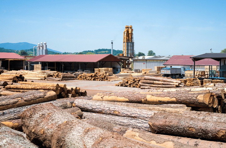 Potret industri biomassa