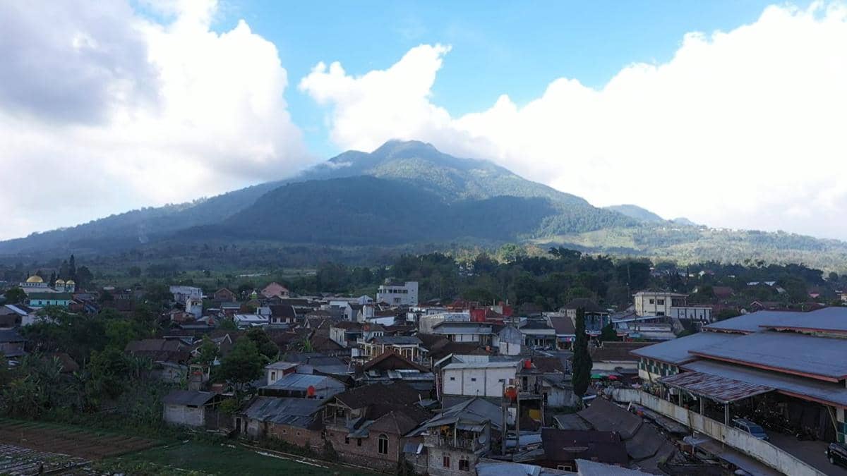 Desa BRILian Sumowono, Desa Sayur yang Tumbuh dan Berinovasi Bersama BRI