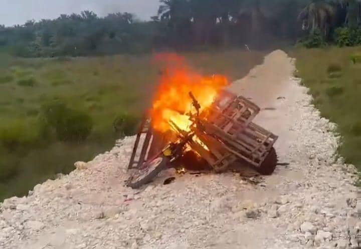 Dua Terduga Pencuri Sawit di Morowali Diarak Warga, Motor Dibakar. (Dok. IDN Times)