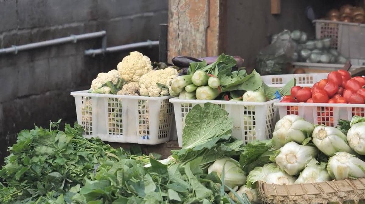 WhatsApp Image 2026-03-30 at 2.00.35 PM.jpeg