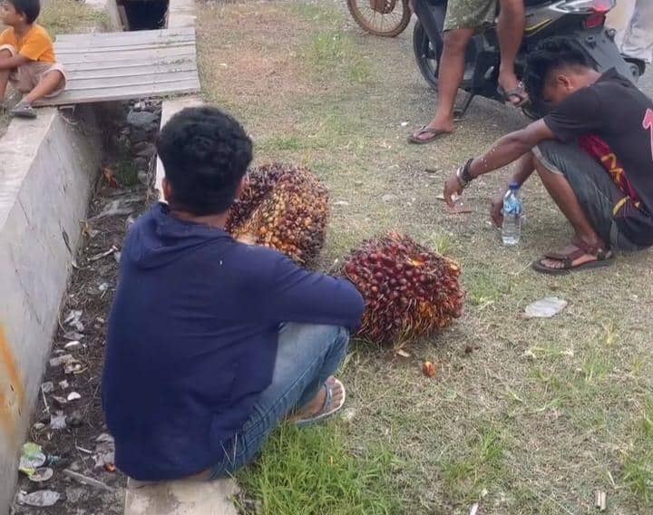 Dua Terduga Pencuri Sawit di Morowali Diarak Warga, Motor Dibakar