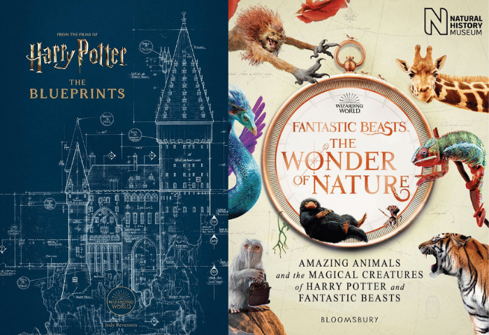 9 Buku biar Kamu Lebih Memahami Dunia Sihir Harry Potter, Wajib Baca!