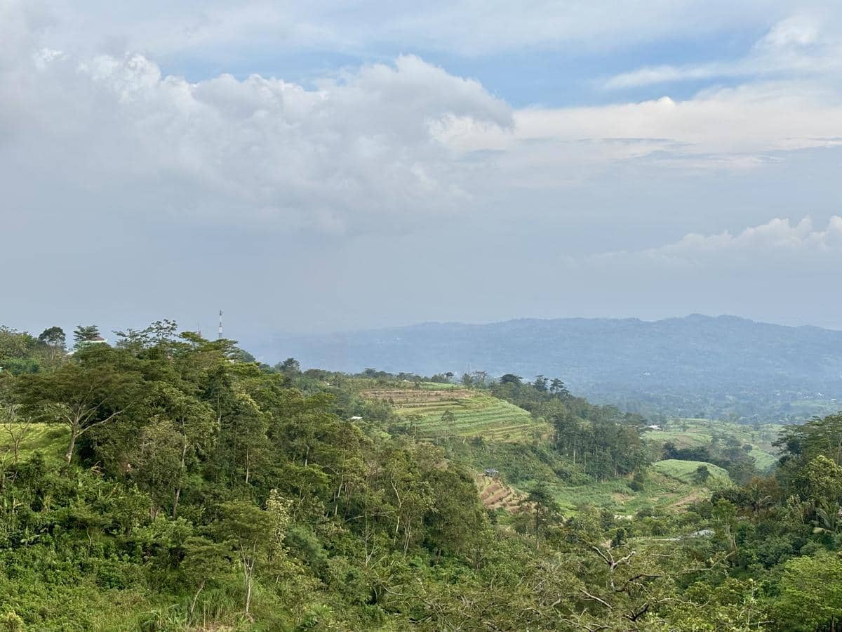 Kondisi lereng Gunung Muria di Kudus. (IDN Times/Dhana Kencana)
