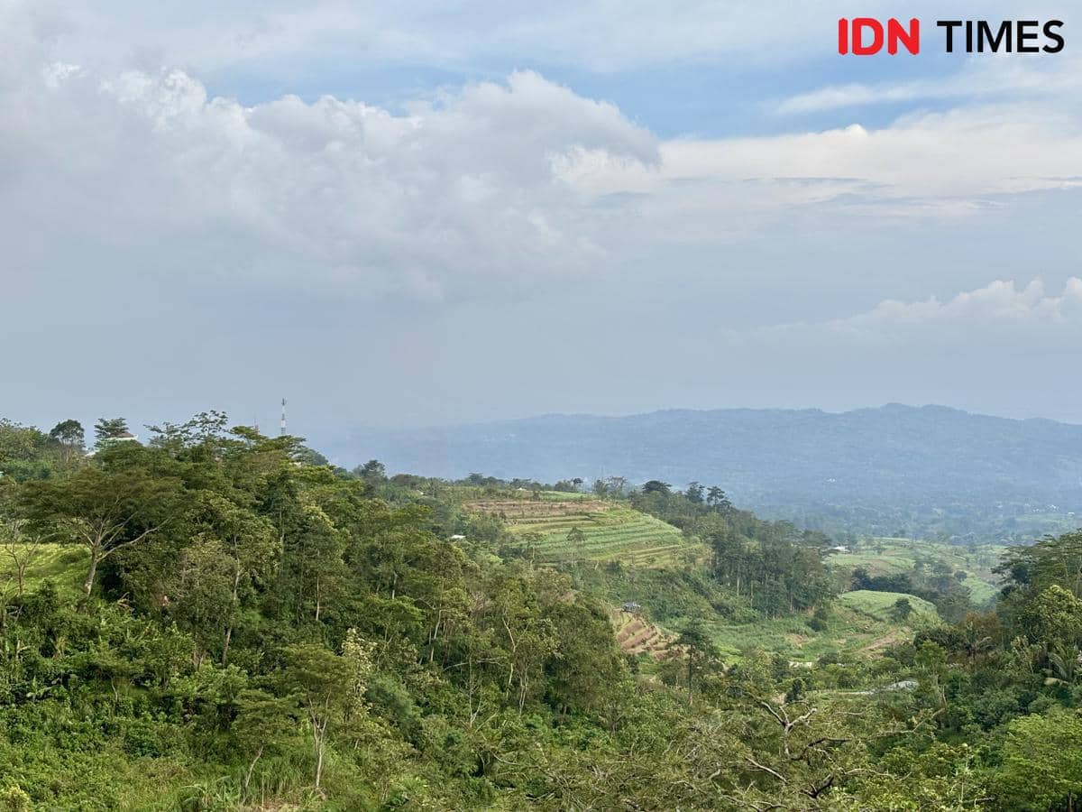 Dari Patah Hati, Pelarian Rifa Menjaga Asa Warga Muria