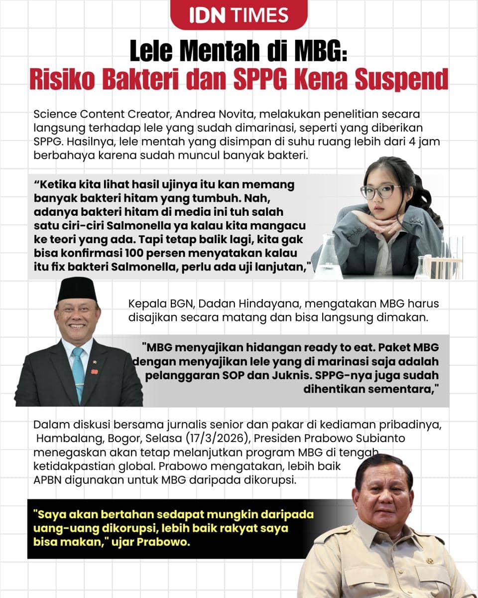 Lele Mentah di MBG: Risiko Bakteri hingga SPPG Kena Suspend