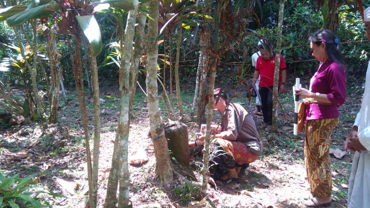 Peninggalan Megalitik Pura Puseh Margatelu di Tabanan, Tanpa Pelinggih