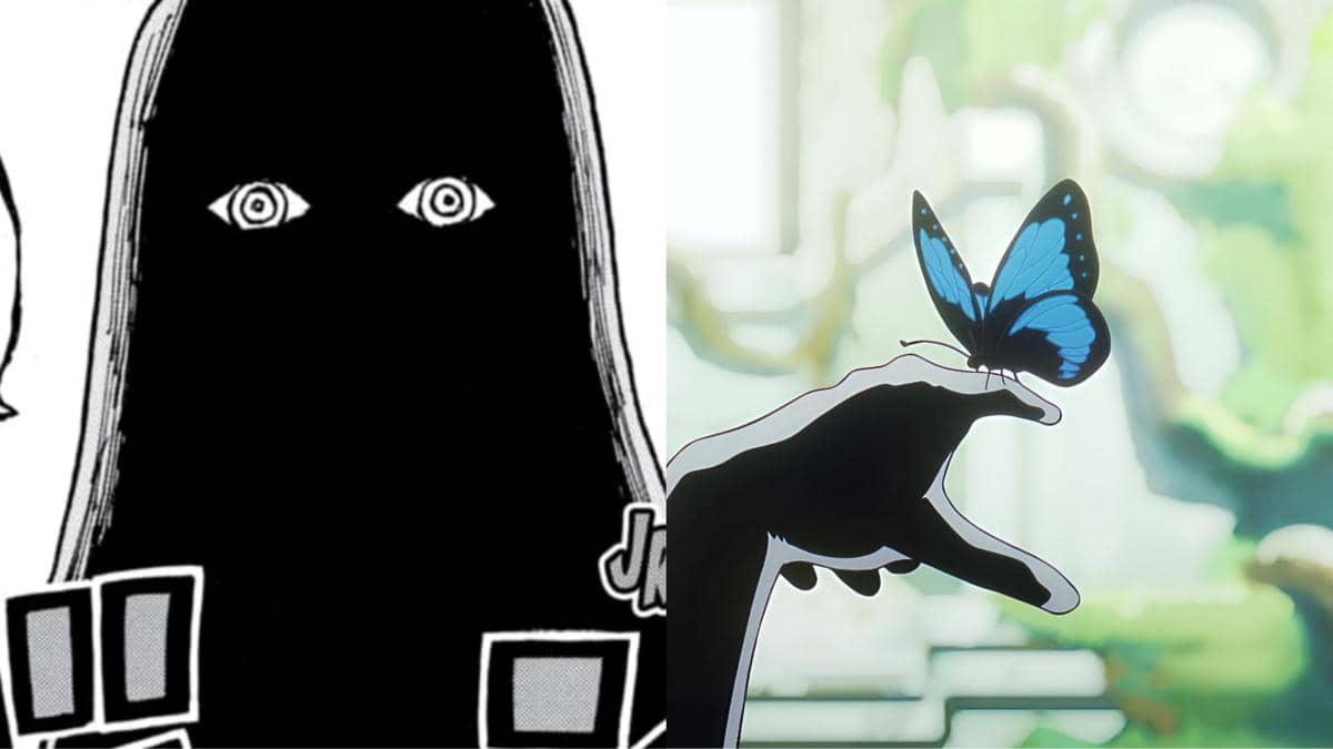 Adakah Koneksi Antara Imu dan Kupu-kupu di Tamannya? Ini Teorinya!