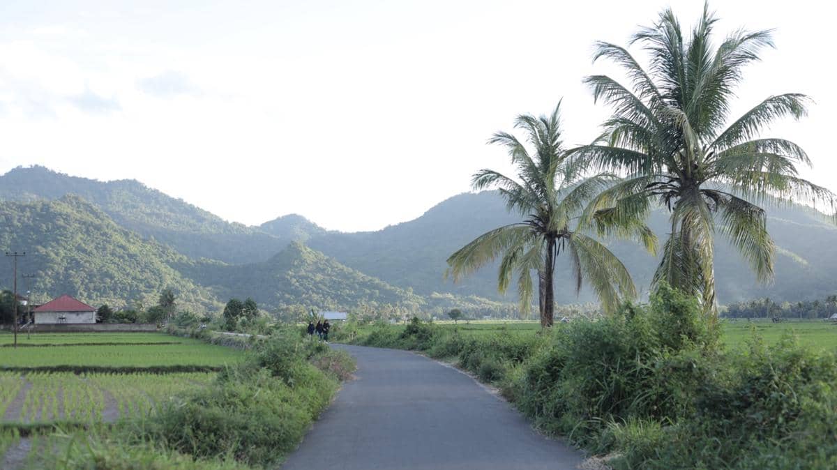 WhatsApp Image 2026-03-30 at 5.29.40 PM.jpeg