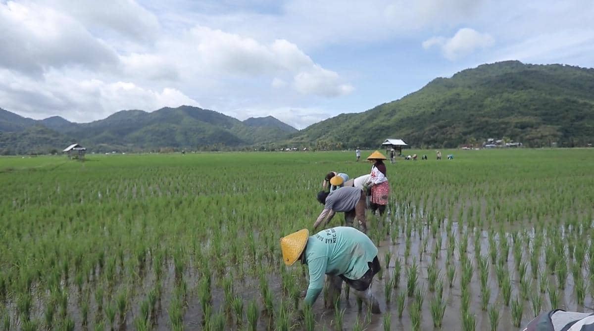 Desa Manemeng Perkuat Ekonomi Kerakyatan lewat Program Desa BRILiaN