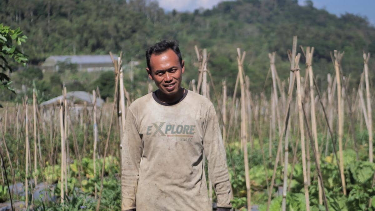 WhatsApp Image 2026-03-30 at 2.00.36 PM.jpeg