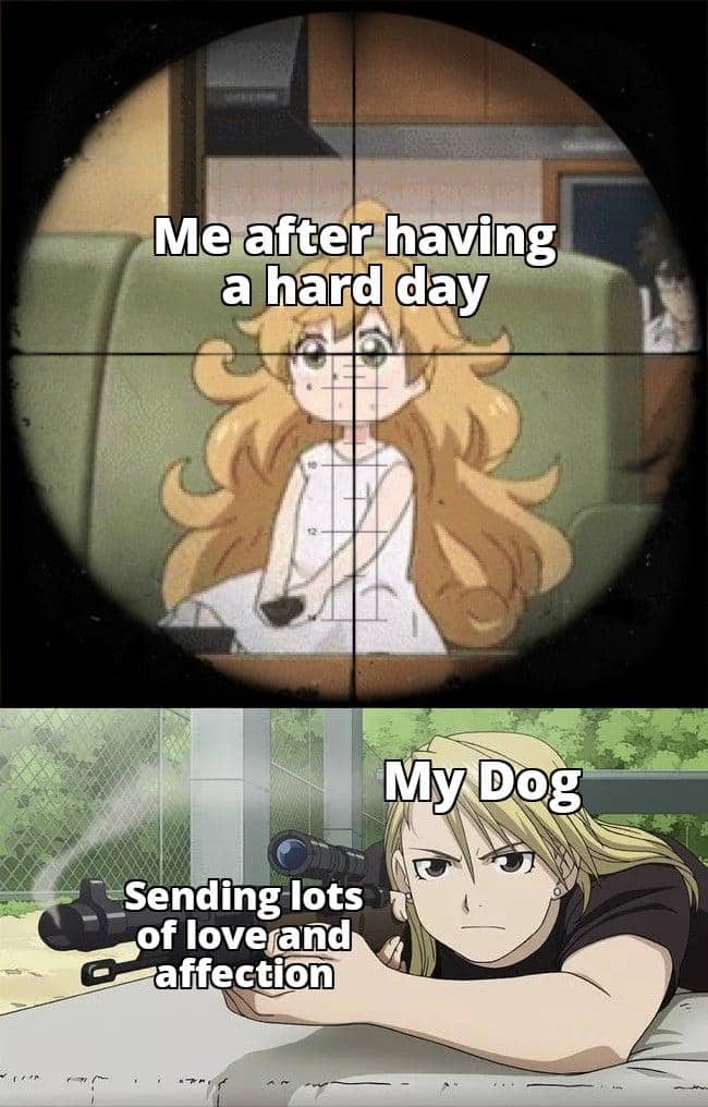 meme anime tentang sniper