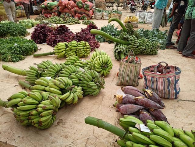 ilustrasi hasil panen buah-buahan