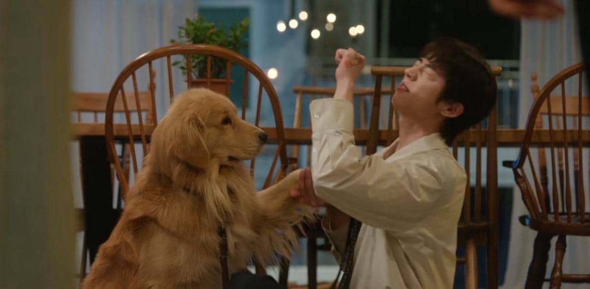 cuplikan drama In Your Radiant Season