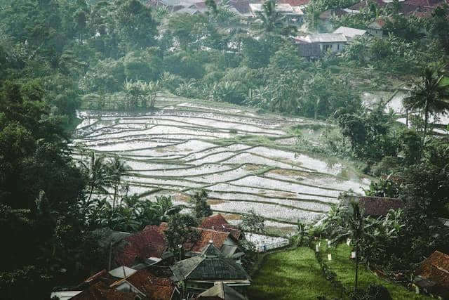 ilustrasi lanskap pertanian