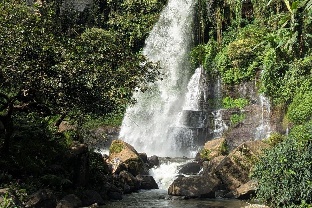 Ilustrasi Air Terjun Putuk Truno dengan aliran deras pemandangan hijau segar dan suasana yang alami.