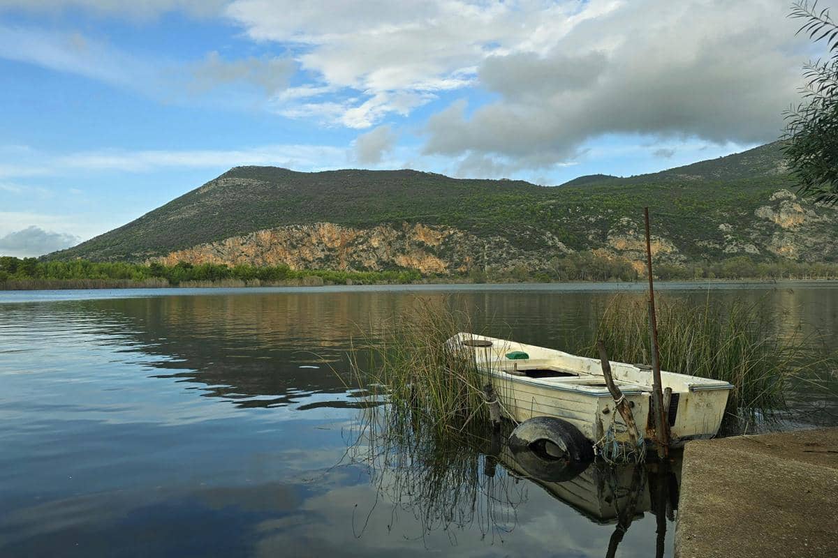 Ilustrasi danau alami dengan suasana tenang dan refleksi air yang jernih.