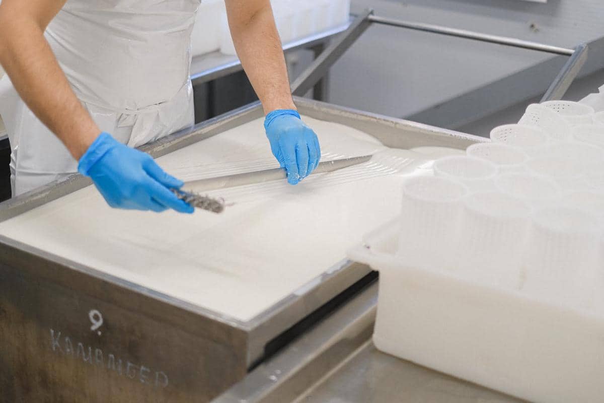 ilustrasi pengolahan makanan