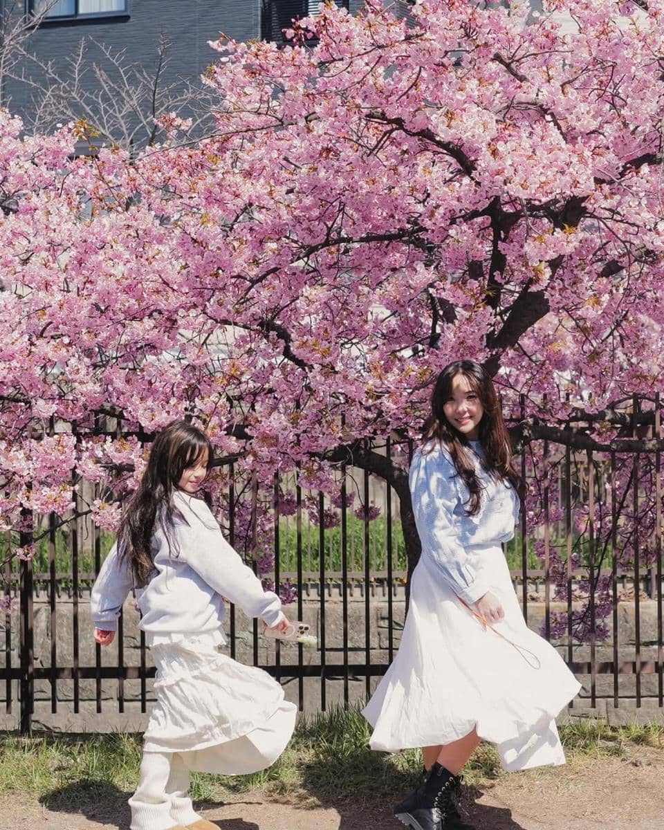 Seleb yang menikmati bunga sakura saat musim semi di Jepang