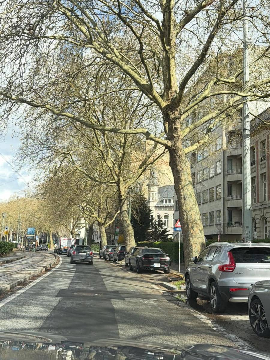 Angel Karamoy jalan-jalan di Kota Brussels, Belgia